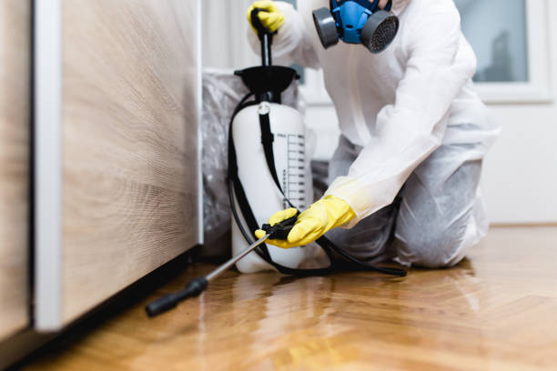 Best Residential Pest Control  in Richwood, OH