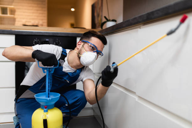 Wildlife Control Services in Richwood, OH