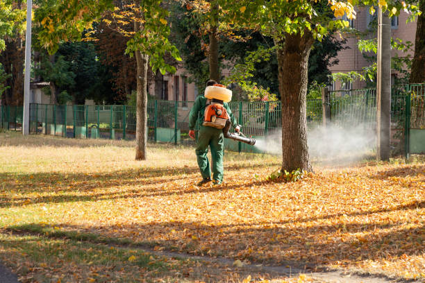 Best Best Pest Control Companies  in Richwood, OH