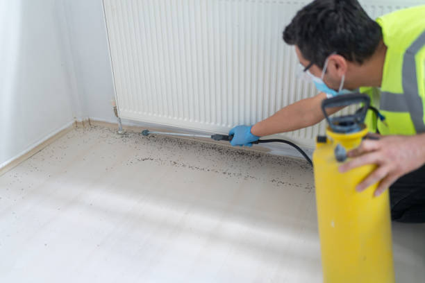 Best Cockroach Control Services  in Richwood, OH