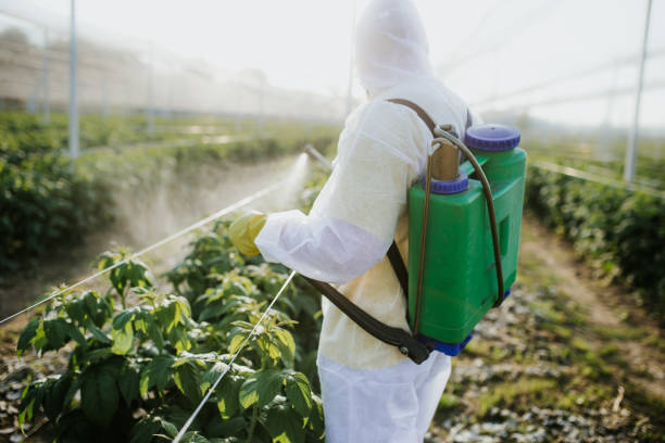 Best Pest Removal Services  in Richwood, OH